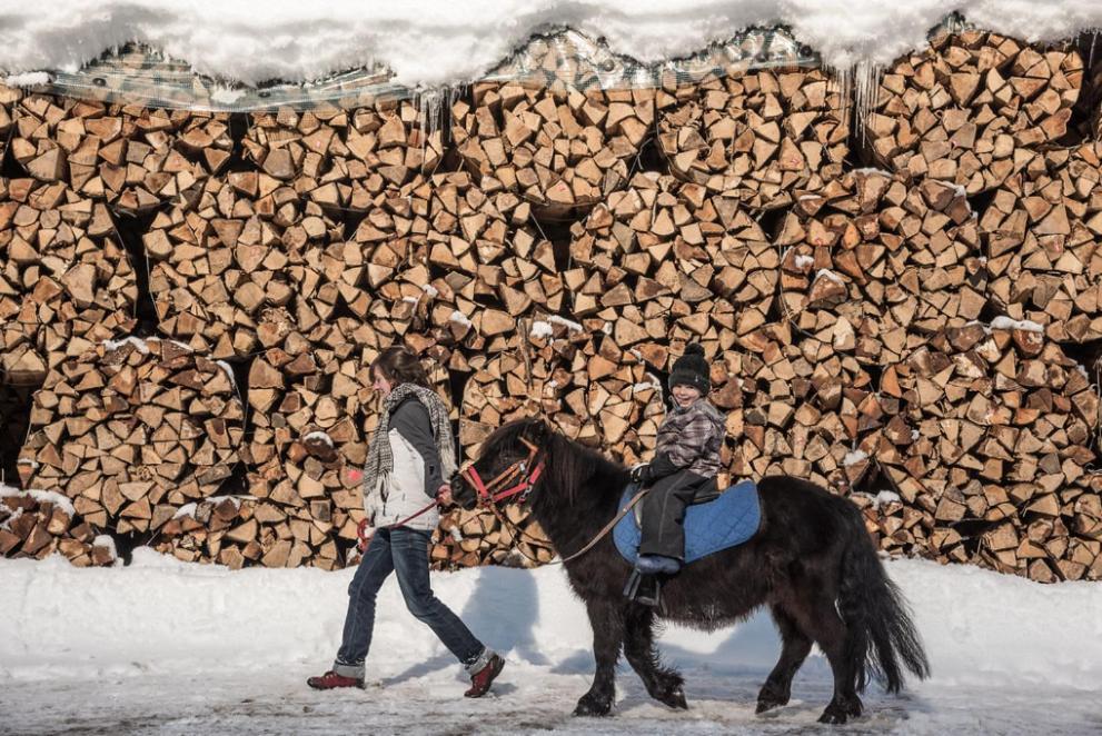 Backpacker Le Petit Baroudeur Pansiyon Champéry Dış mekan fotoğraf